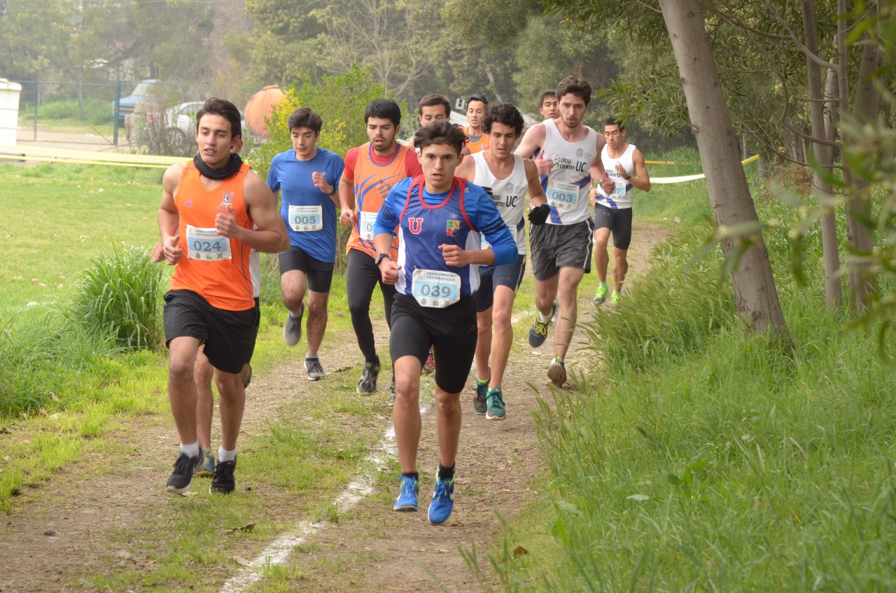 U. de Chile organizará el Campeonato Nacional Universitario de Cross Country 2017