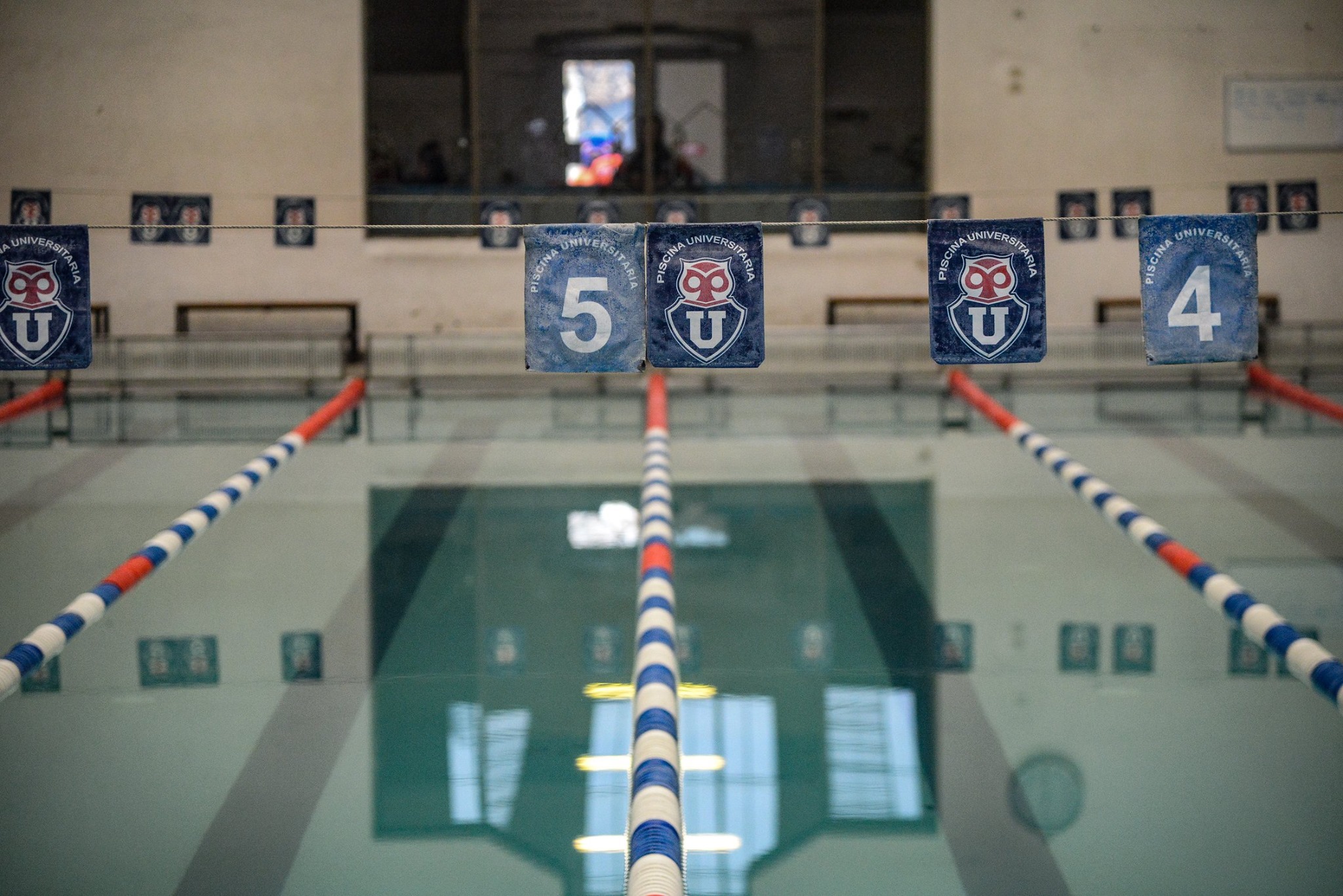 Piscina Escolar de la Universidad de Chile abre sus puertas en el Día del Patrimonio 2019