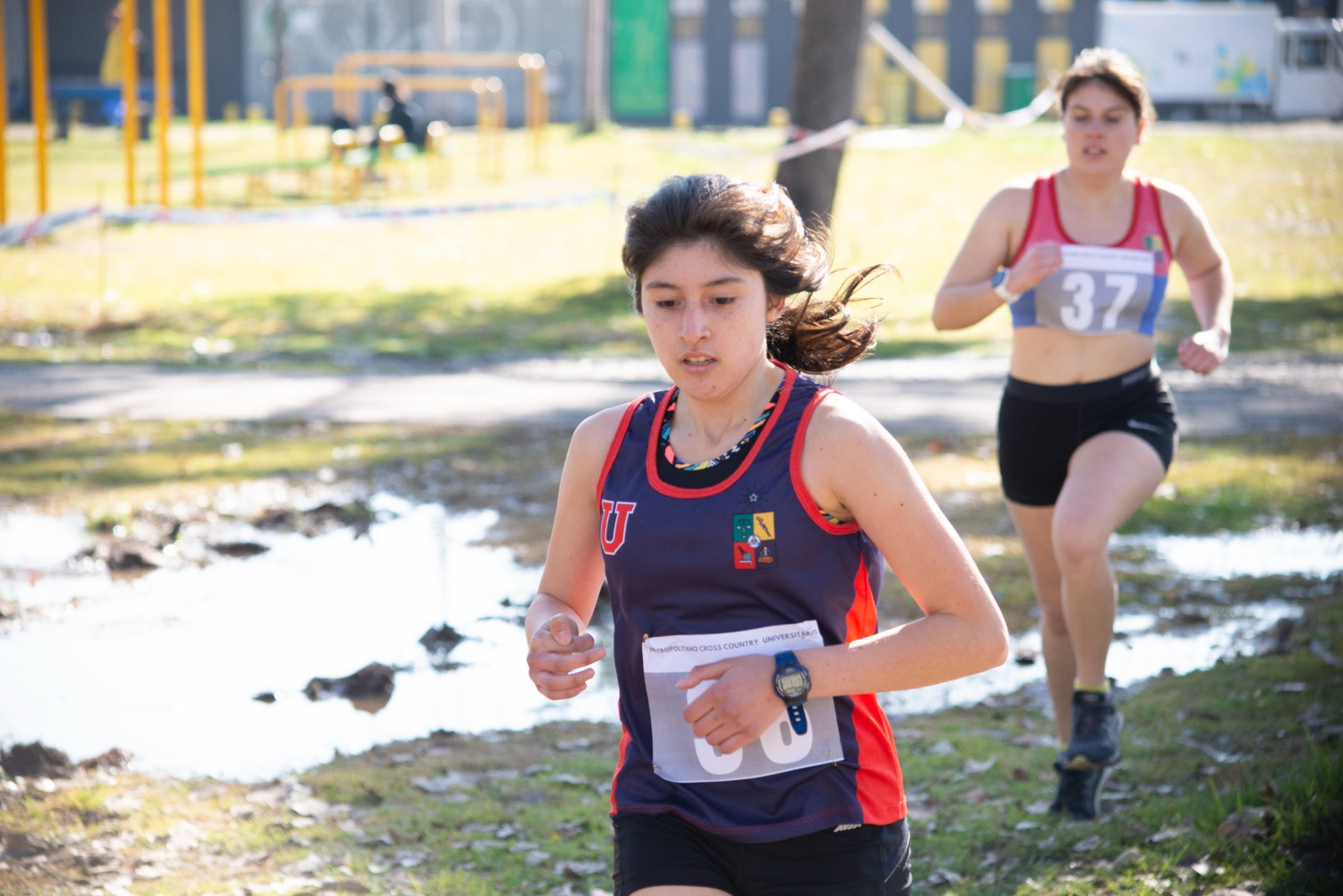 La Universidad de Chile obtuvo siete medallas en torneo regional Fenaude de Cross Country