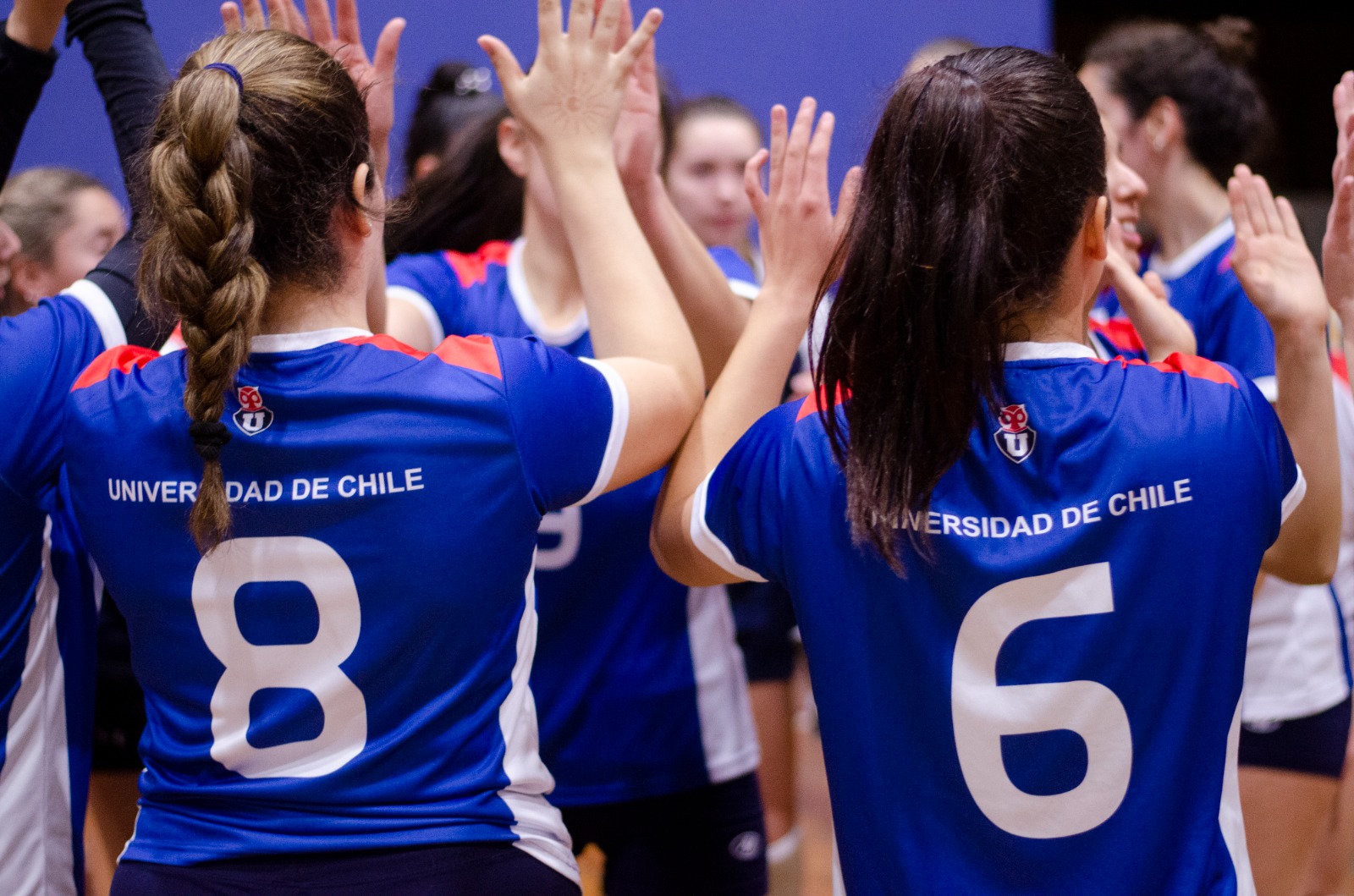 113 nuevos estudiantes deportistas se matricularon en la Universidad de Chile este 2024