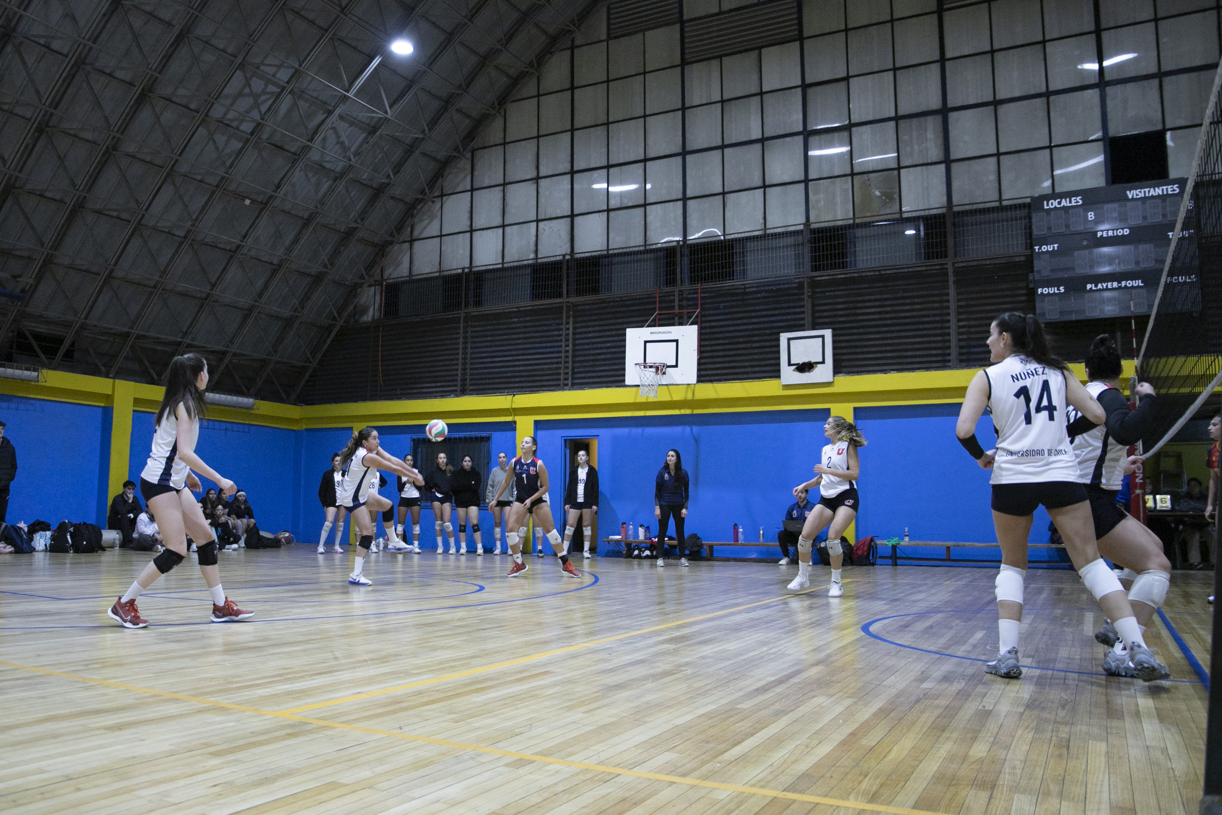 ¡Gran debut de la U en competencias deportivas!
