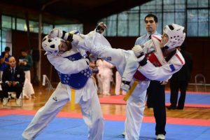 Economía y Negocios, Ingeniería, Juan Gómez Millas y Medicina han destacado en deportes individuales