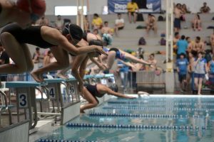 Cinco estudiantes acapararon medallas de oro en tercer TIF de natación 2016 Cinco estudiantes acapararon medallas de oro en tercer TIF de natación 2016