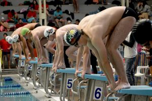 Con masiva convocatoria se desarrolló el primer TIF de natación del año Con masiva convocatoria se desarrolló el primer TIF de natación del año